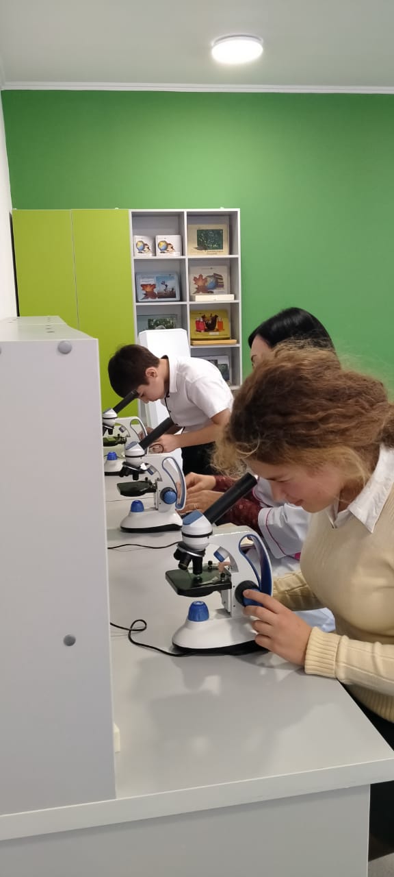 Практическая работа по биологии с применением цифрового микроскопа